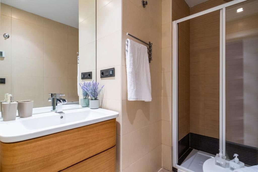 Plaza Del Carmen Apartment